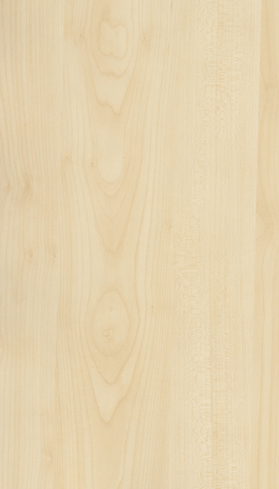 A319 MAPLE TREE
