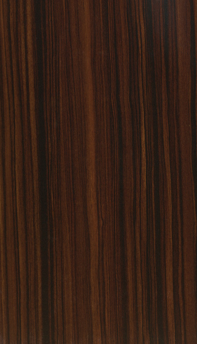 A366 EBONY