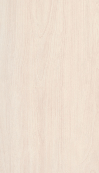 A393 NATURAL BIRCH