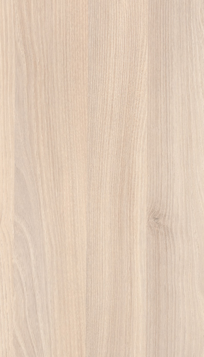 A809 ACACIA