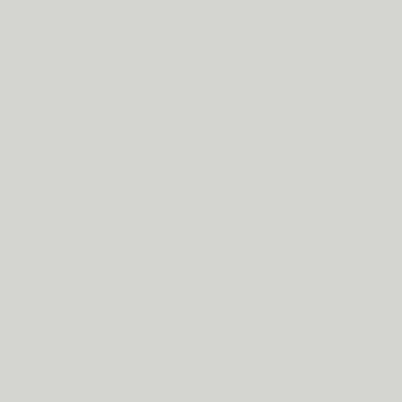 D217-ICE-GRAY-(PIGMENTED)