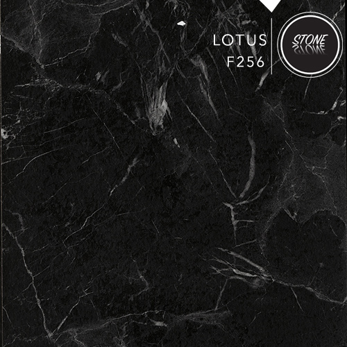 F256 LOTUS
