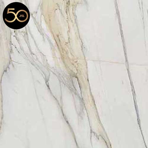F304 CALCUTTA