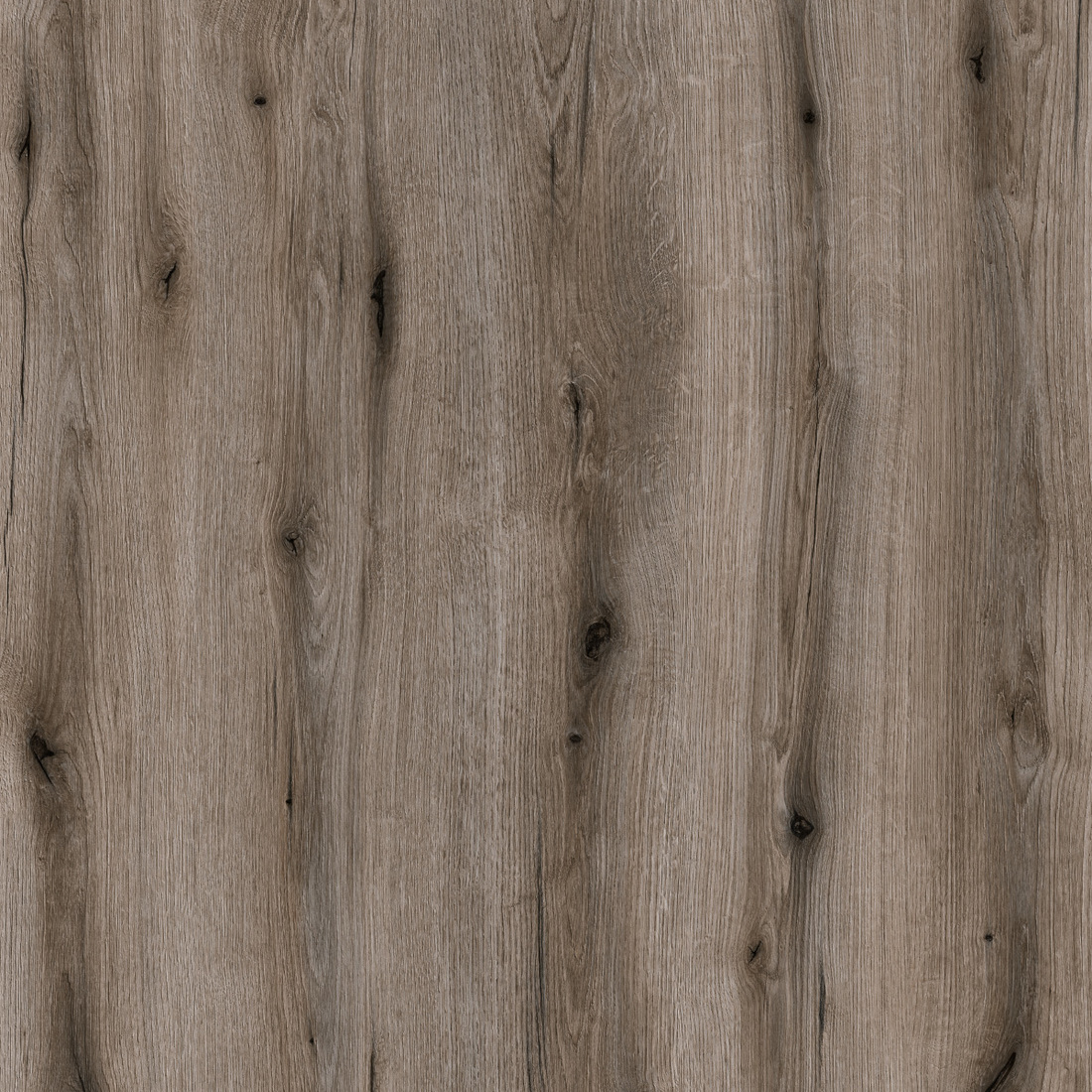 K366 PW; FP Fossil Evoke Oak
