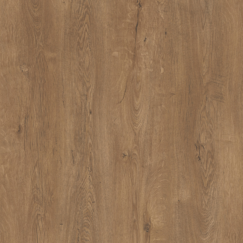 CAUCASUS OAK