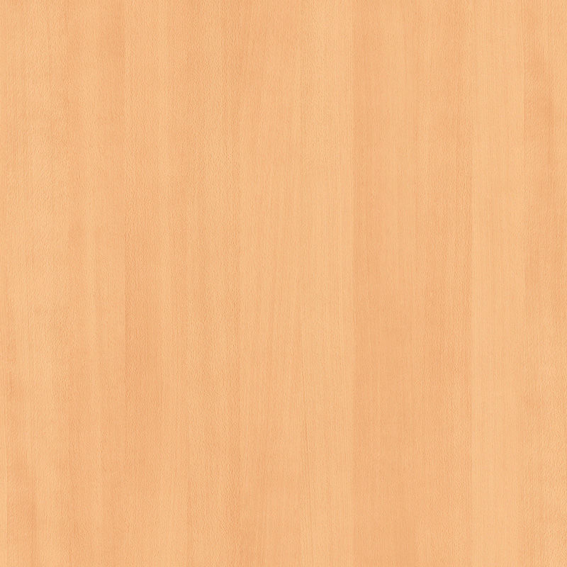 BEECH