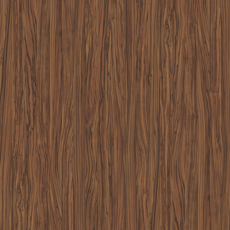 LATIN WALNUT