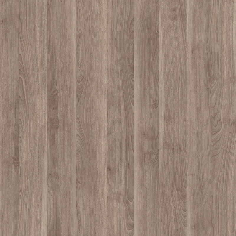Monsoon Birch