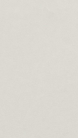 P013 SOFT MATTE LIGHT GRAY