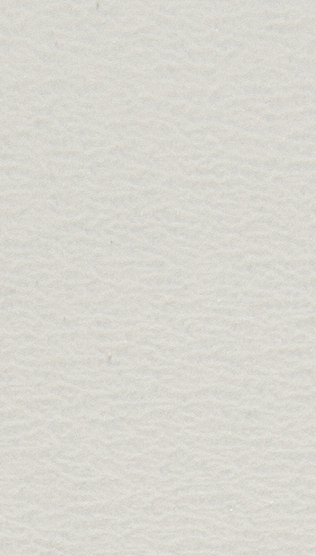 P116 LIGHT GRAY