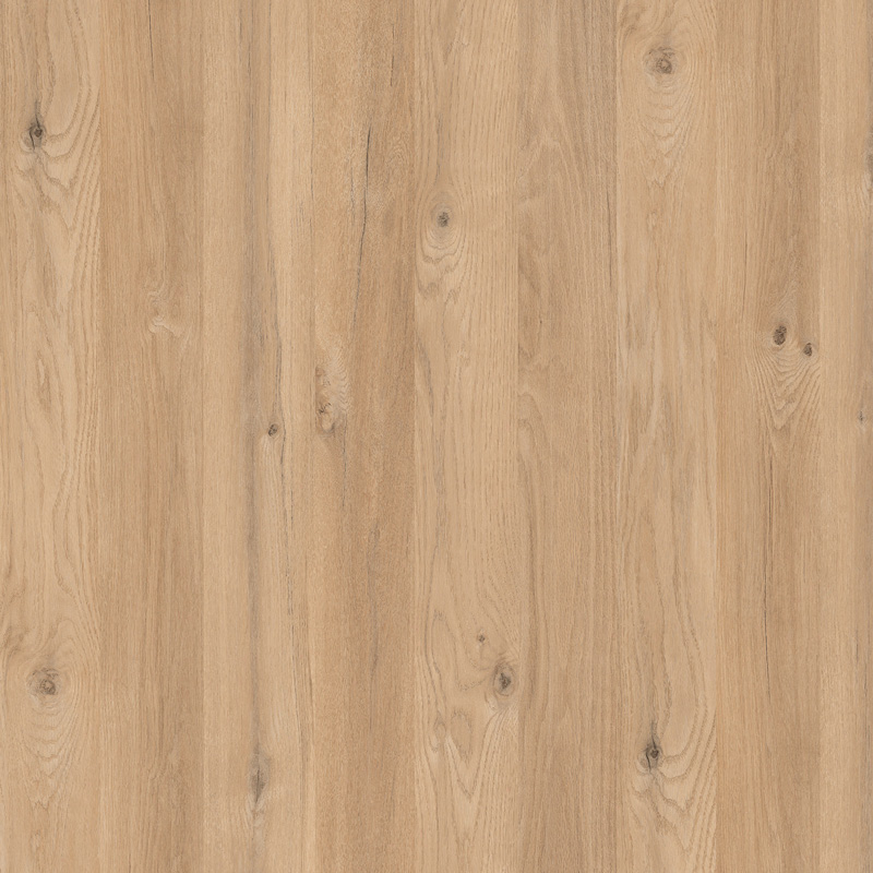 TOROS OAK