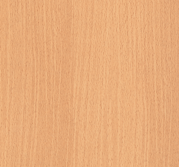 NEW BEECH
